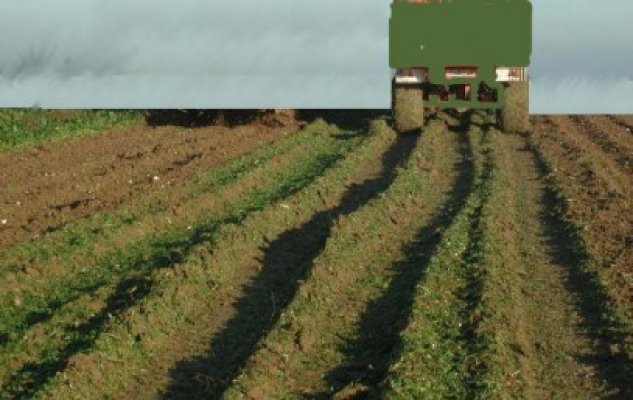 Rezerva de umiditate din solul agricol: Deficite moderate de apă în zona de sud-est